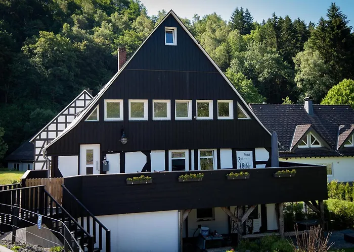 Haus Zur Muehle Villa Winterberg